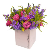 Stocks & Rose - Flowers & Plants Co