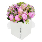 Sweet Peony Pinks - Flowers & Plants Co