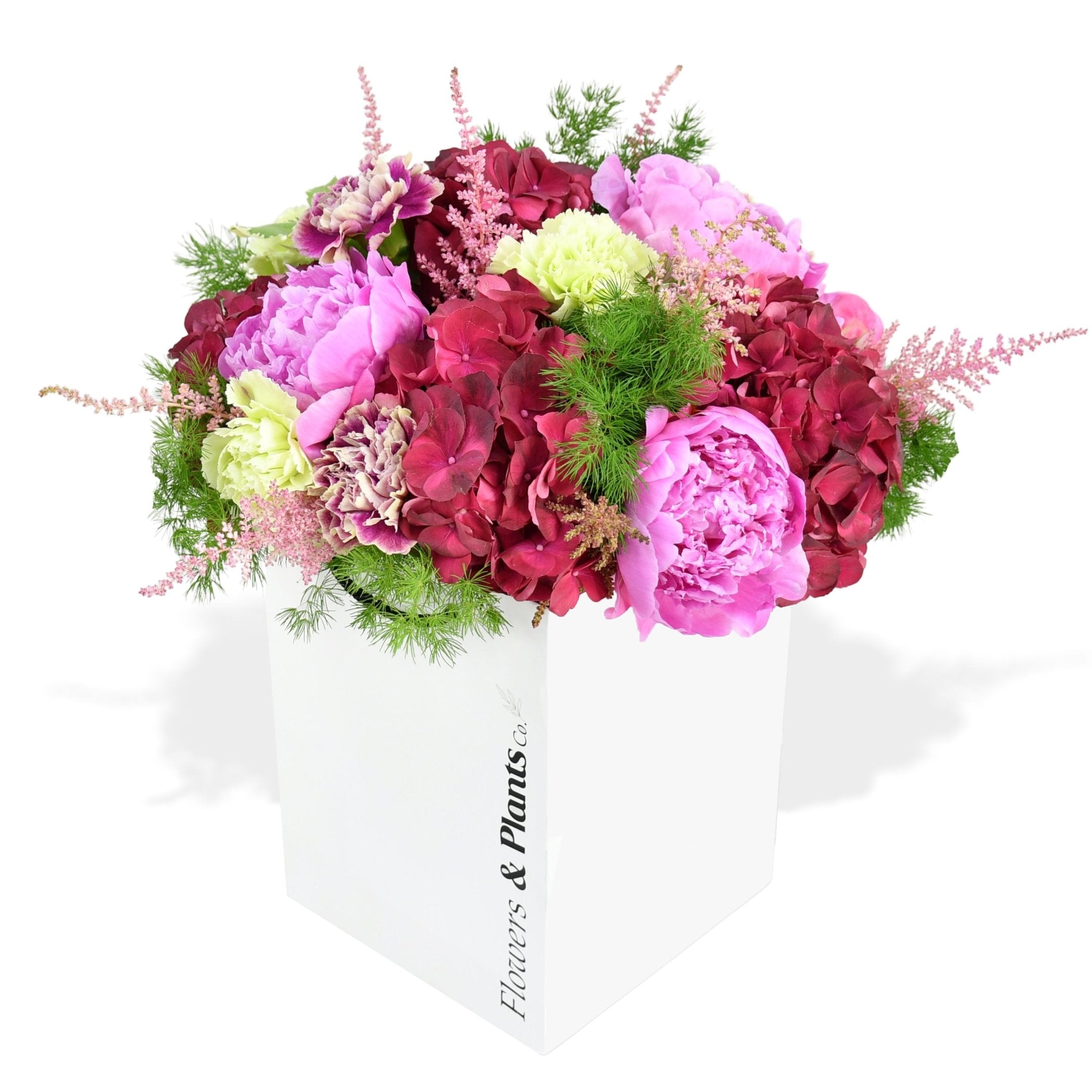 Sweet Raspberry - Flowers &amp; Plants Co
