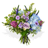 The Star & Thistle - Flowers & Plants Co