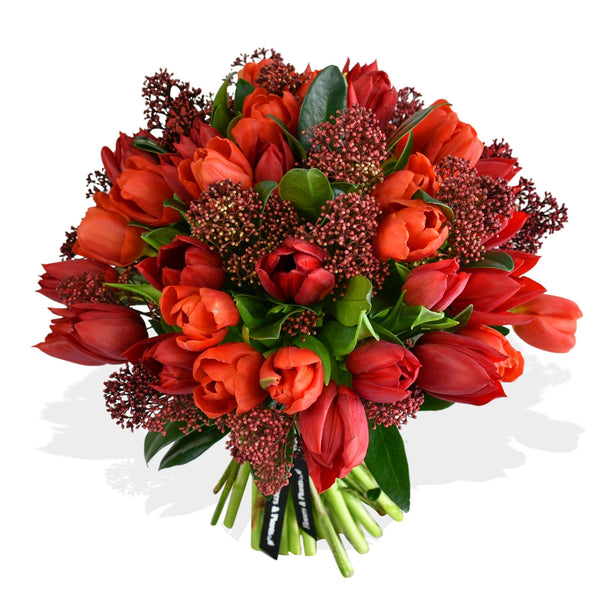 Tulips & Skimmia - Flowers & Plants Co