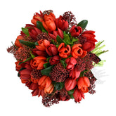 Tulips & Skimmia - Flowers & Plants Co