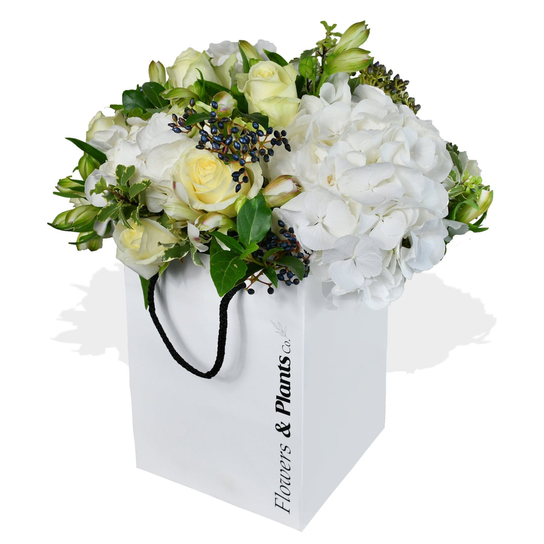 White Pearl - Flowers &amp; Plants Co