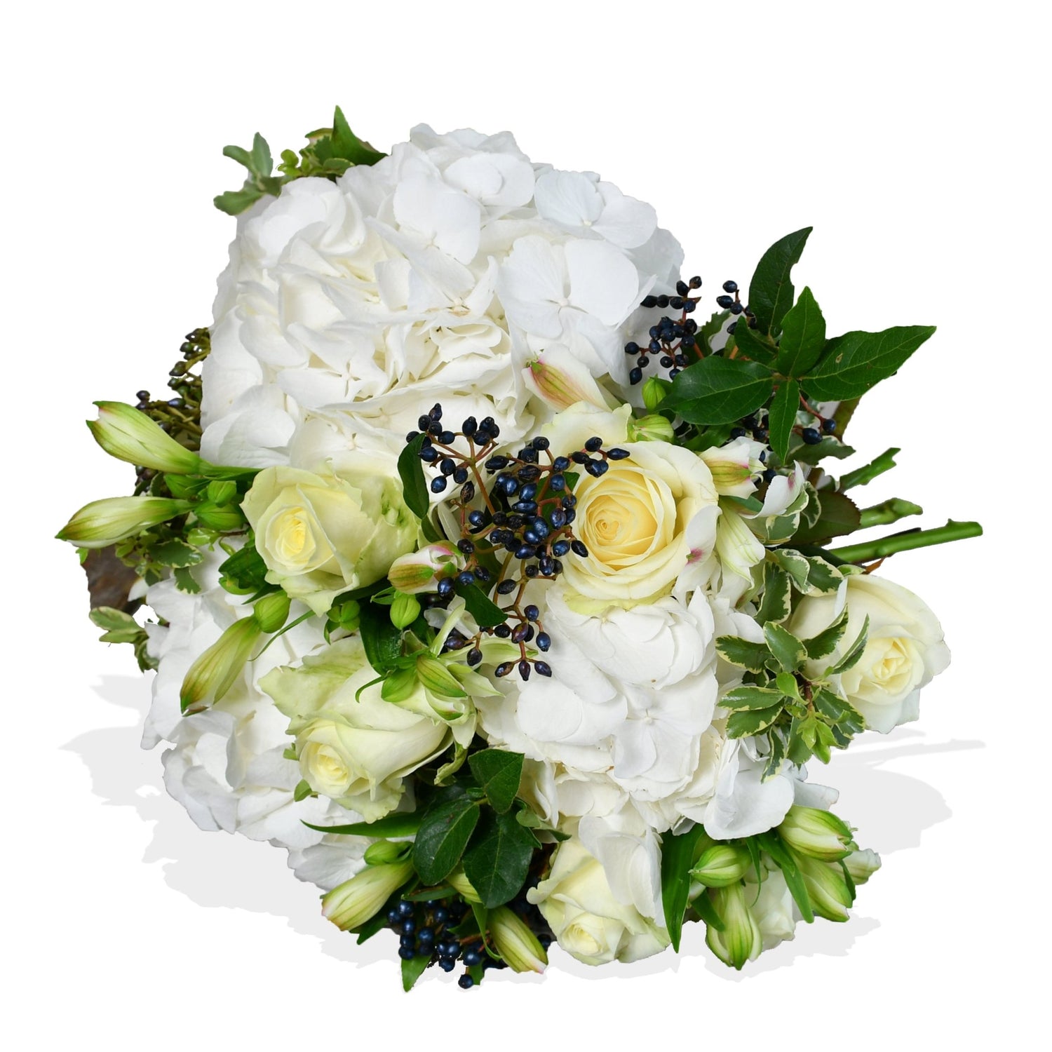 White Pearl - Flowers &amp; Plants Co