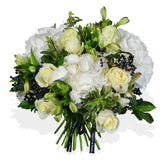 White Pearl - Flowers & Plants Co