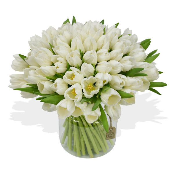 White Tulips - Flowers & Plants Co