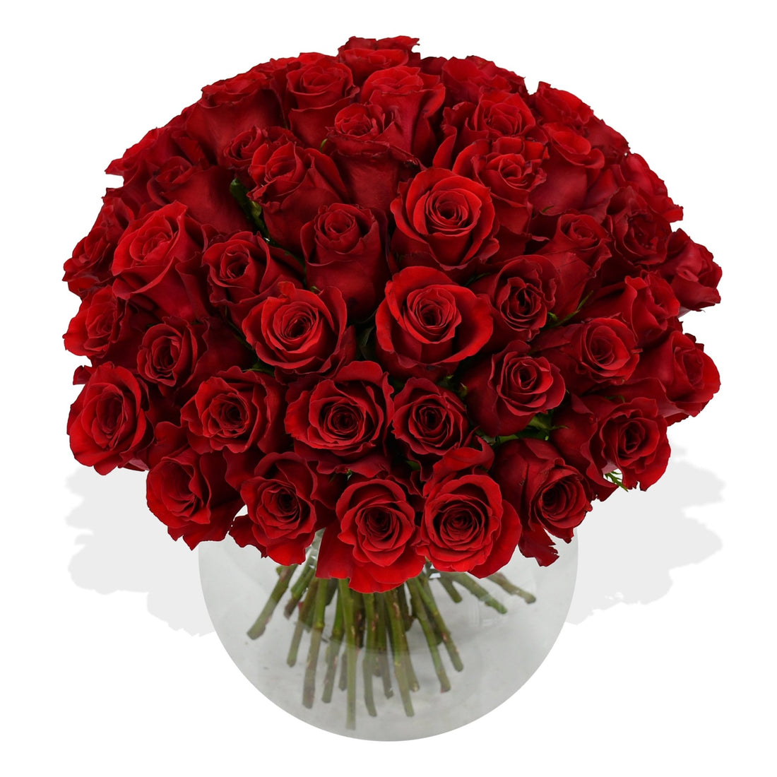 You're The One - 100 Red Roses - Flowers & Plants Co.